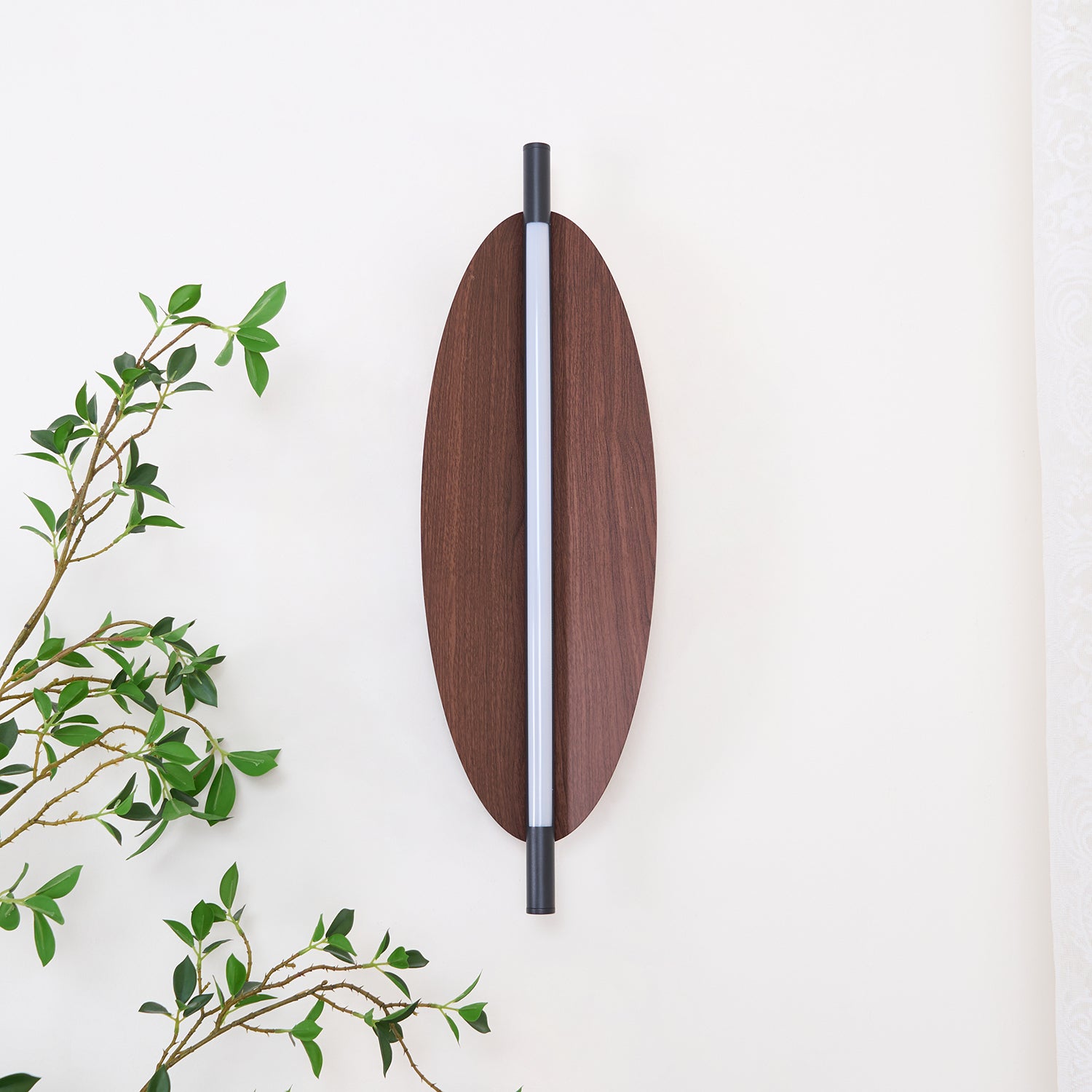 Sleek Board Sconce