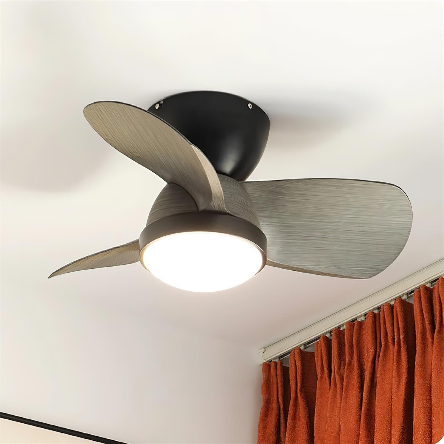 Talaya Ceiling Fan Light