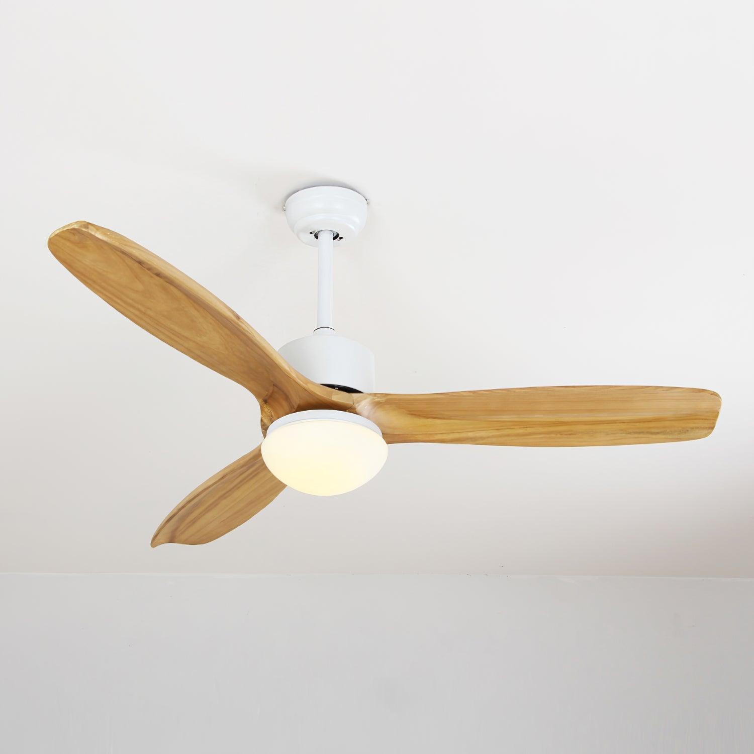 Harborough 3 Ceiling Fan Light