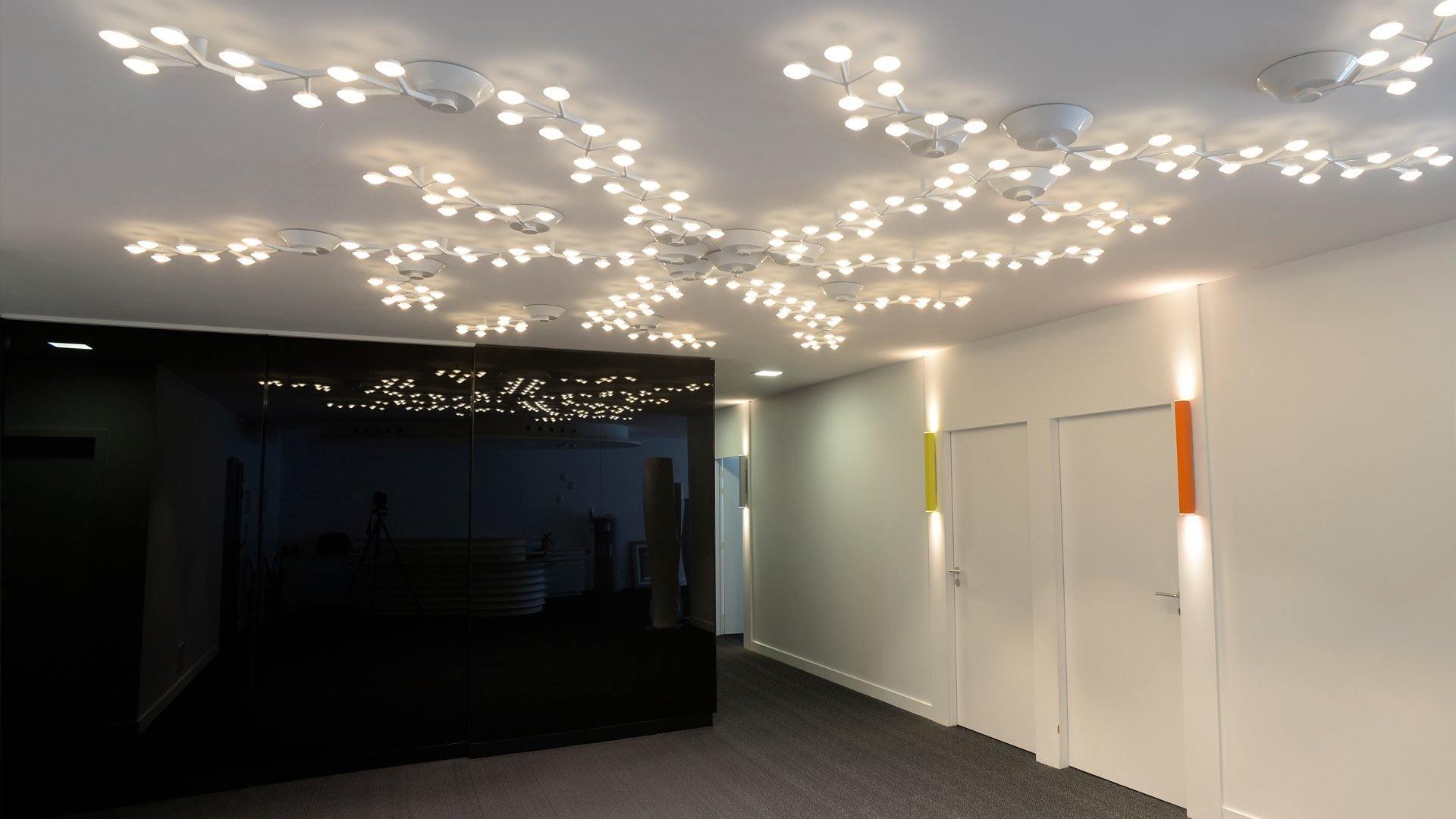 LED Net Ceiling Lamp