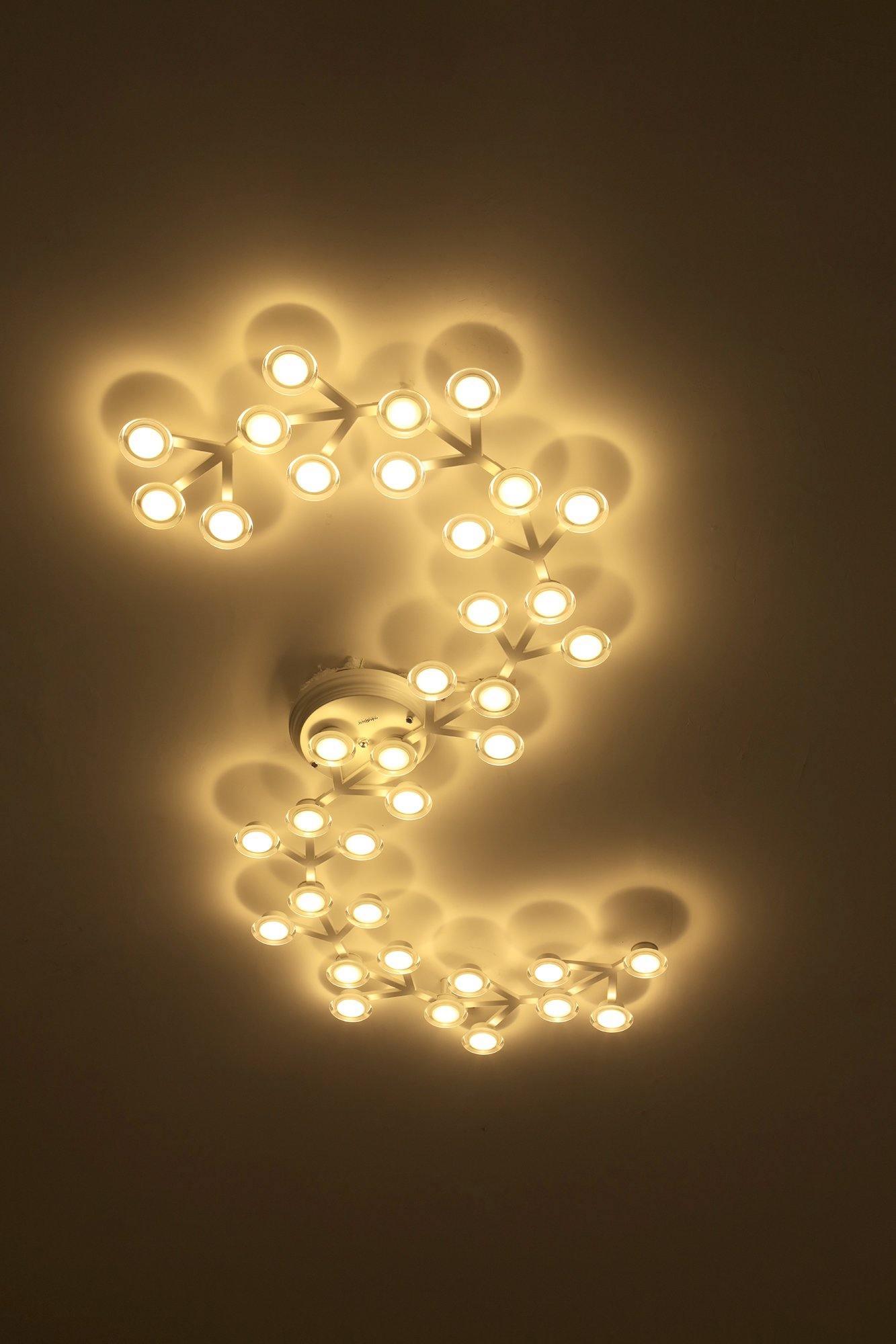 LED Net Ceiling Lamp