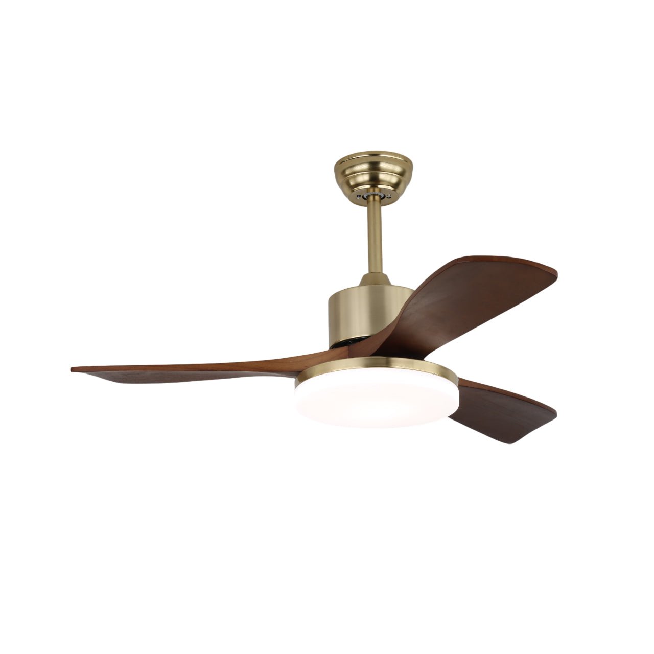 Vega Ceiling Fan Light