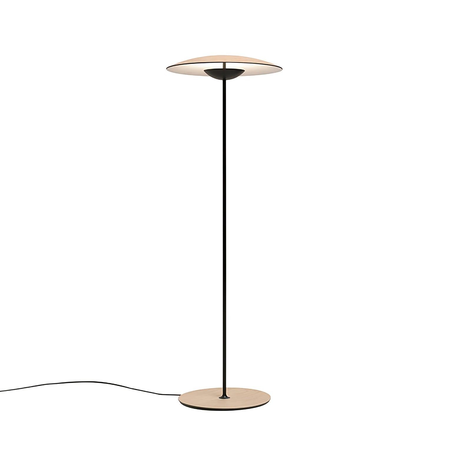 Innovative Directional Floor Lamp