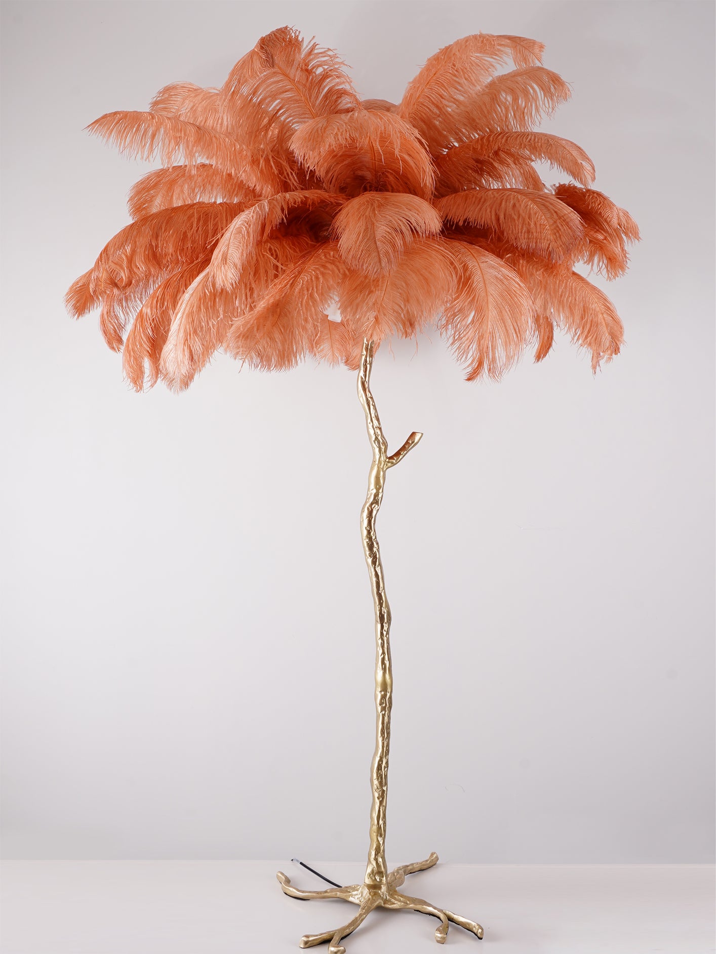 Ostrich Feather Brass Floor Lamp