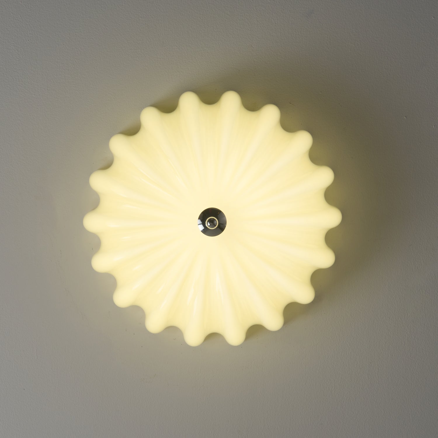 Dewdrop Shell Ceiling Light