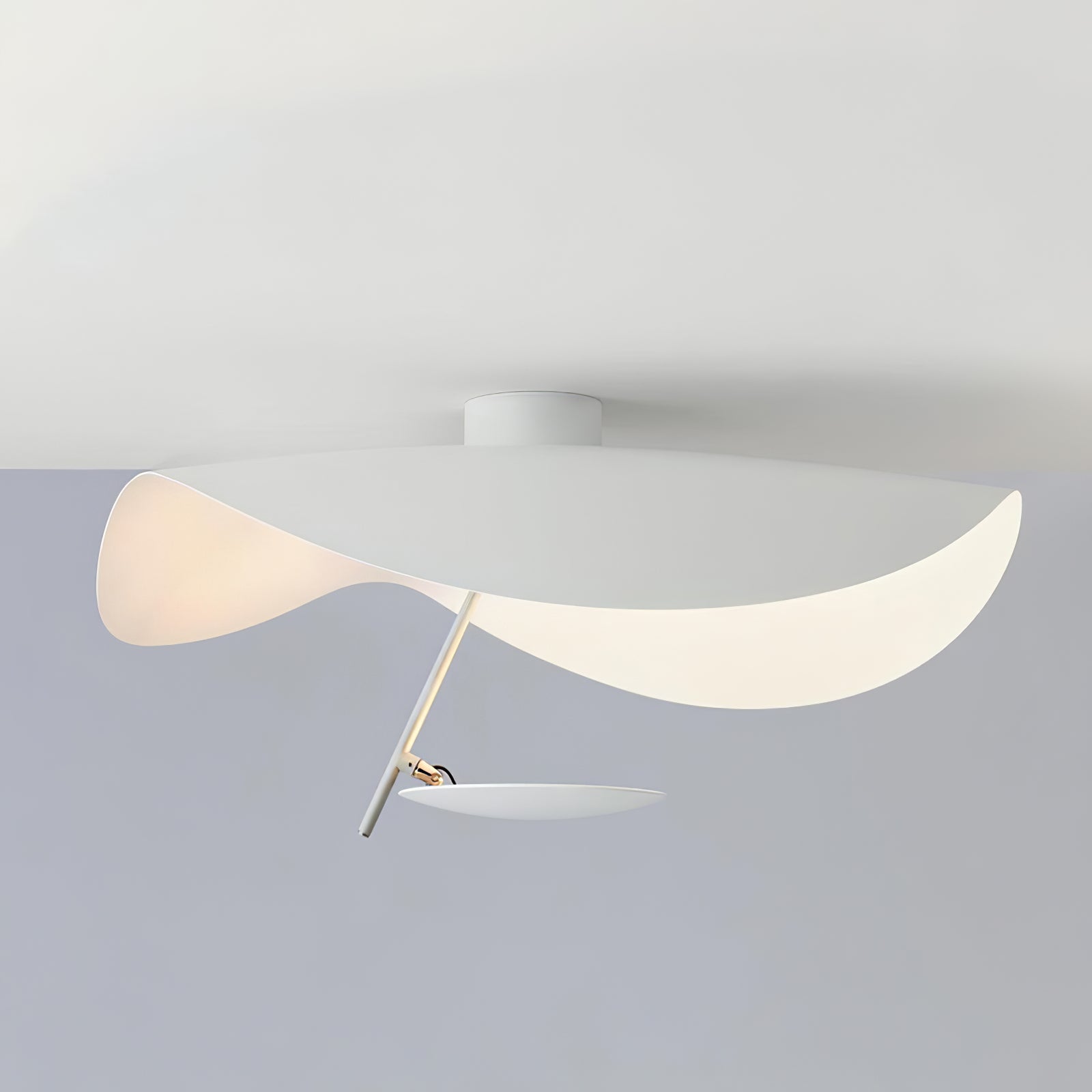 Giorgio Ceiling Light