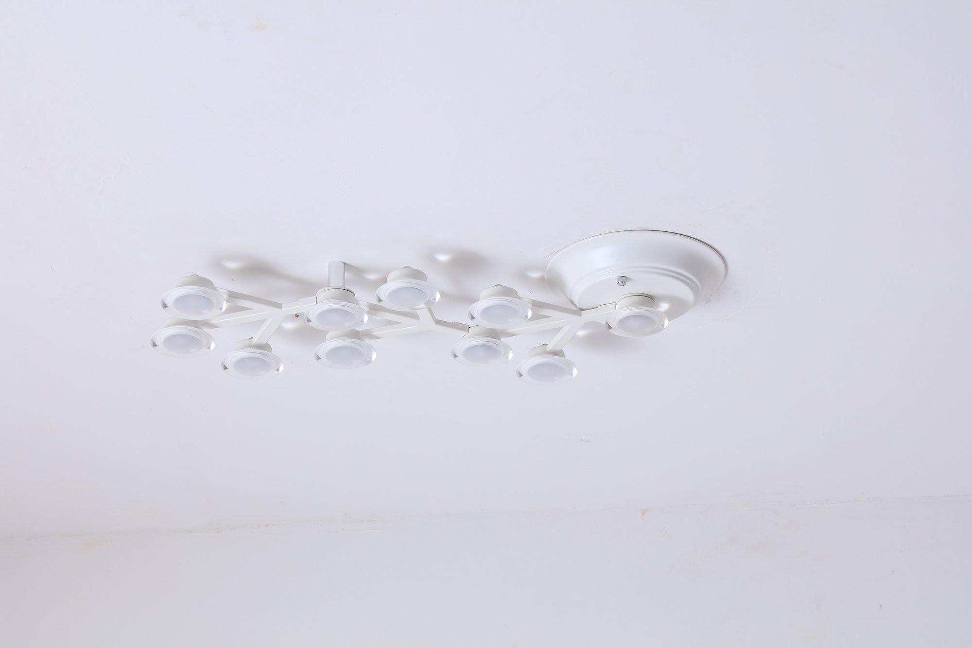 LED Net Ceiling Lamp