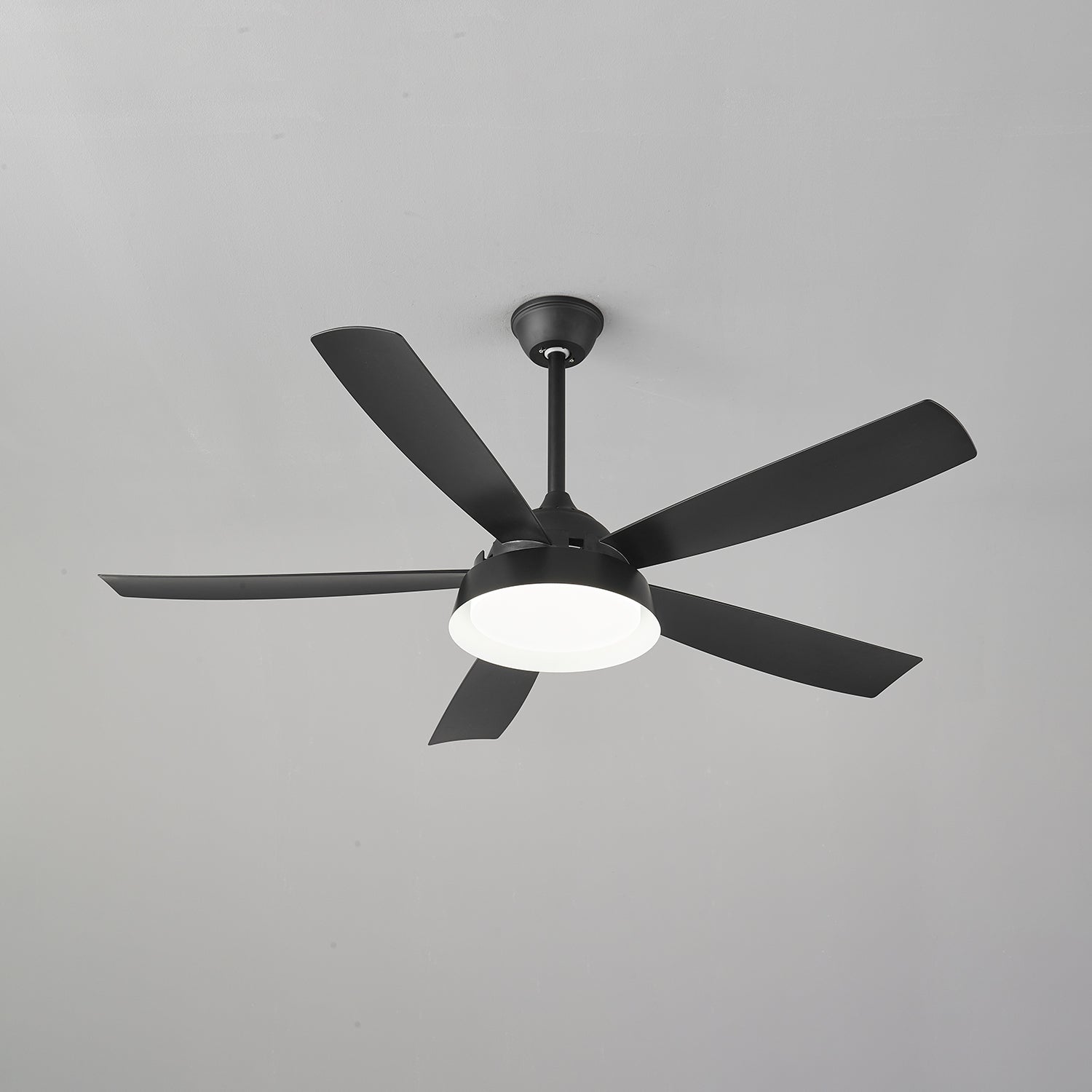 Elysian Ceiling Fan Light