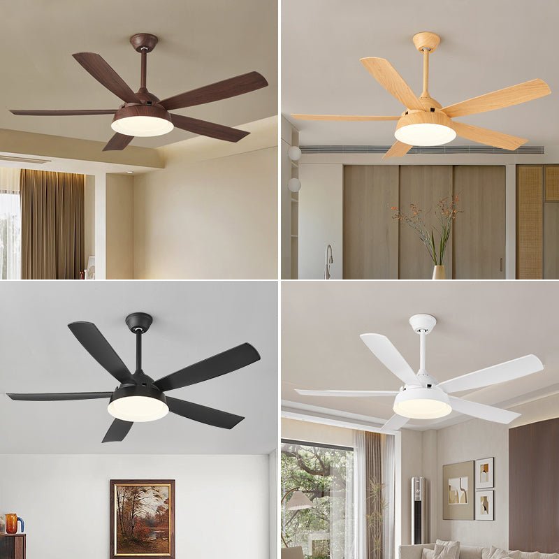 Elysian Ceiling Fan Light