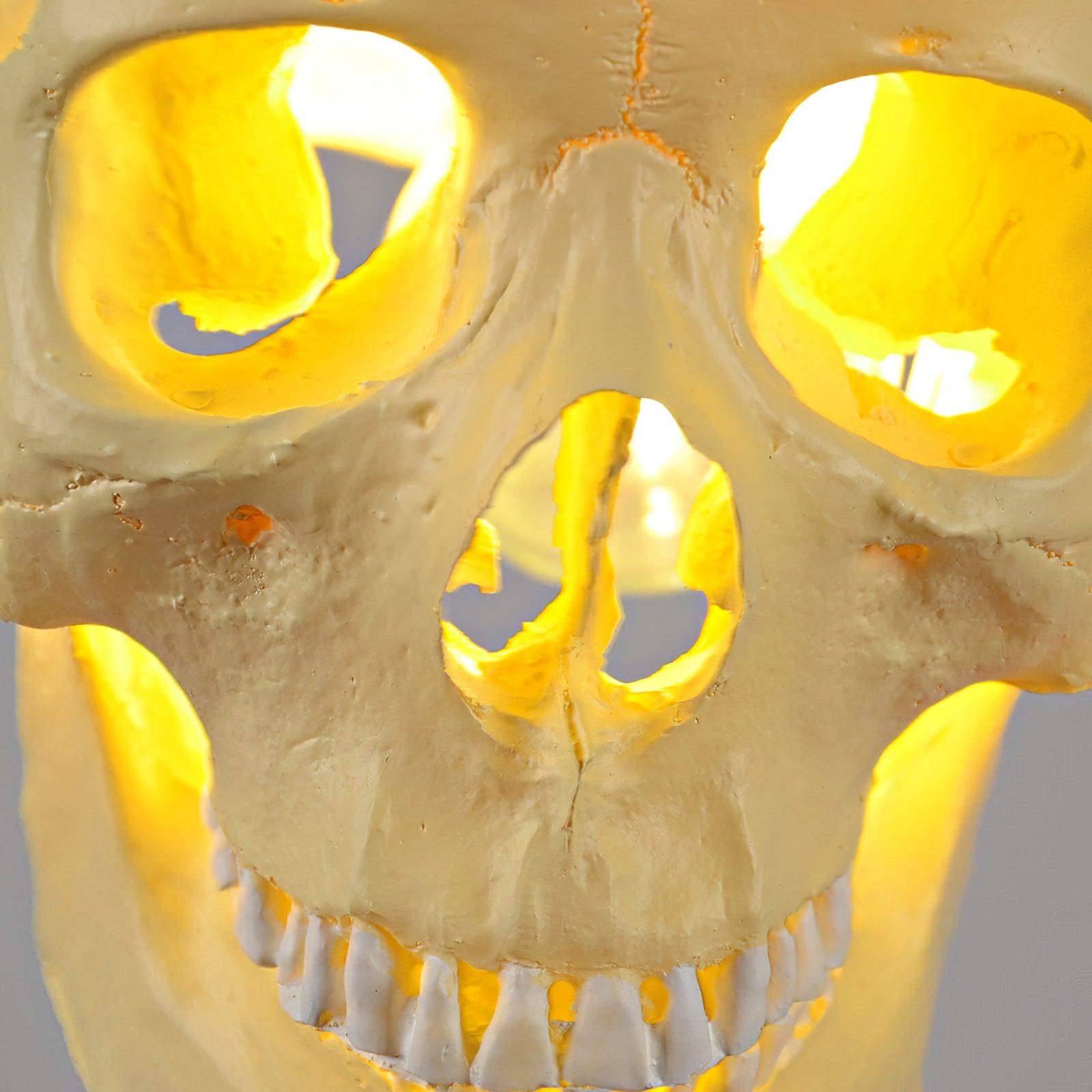 Skull Pendant Light