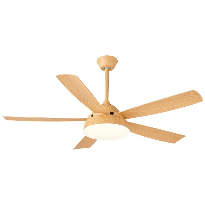 Elysian Ceiling Fan Light