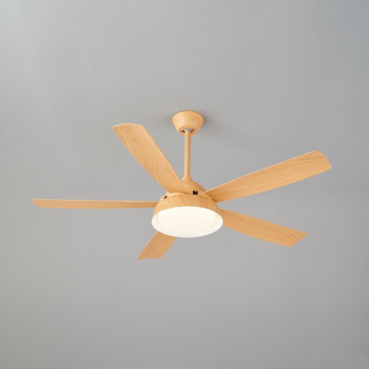 Elysian Ceiling Fan Light