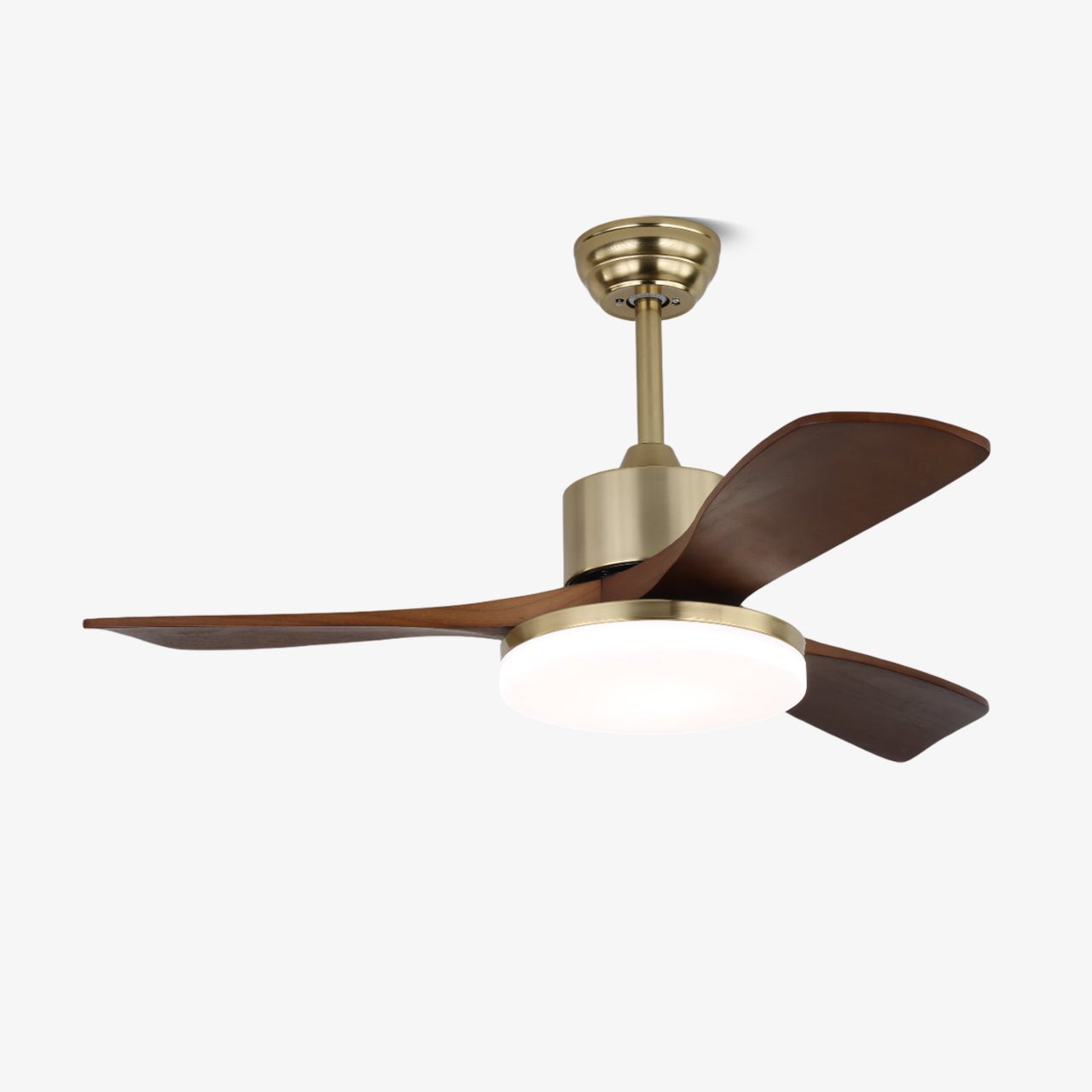 Vega Ceiling Fan Light