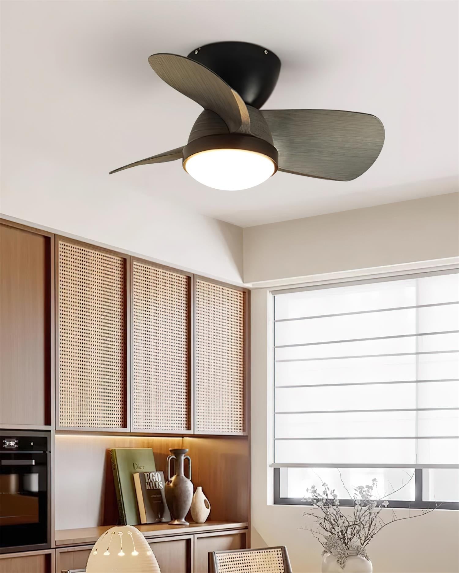 Talaya Ceiling Fan Light