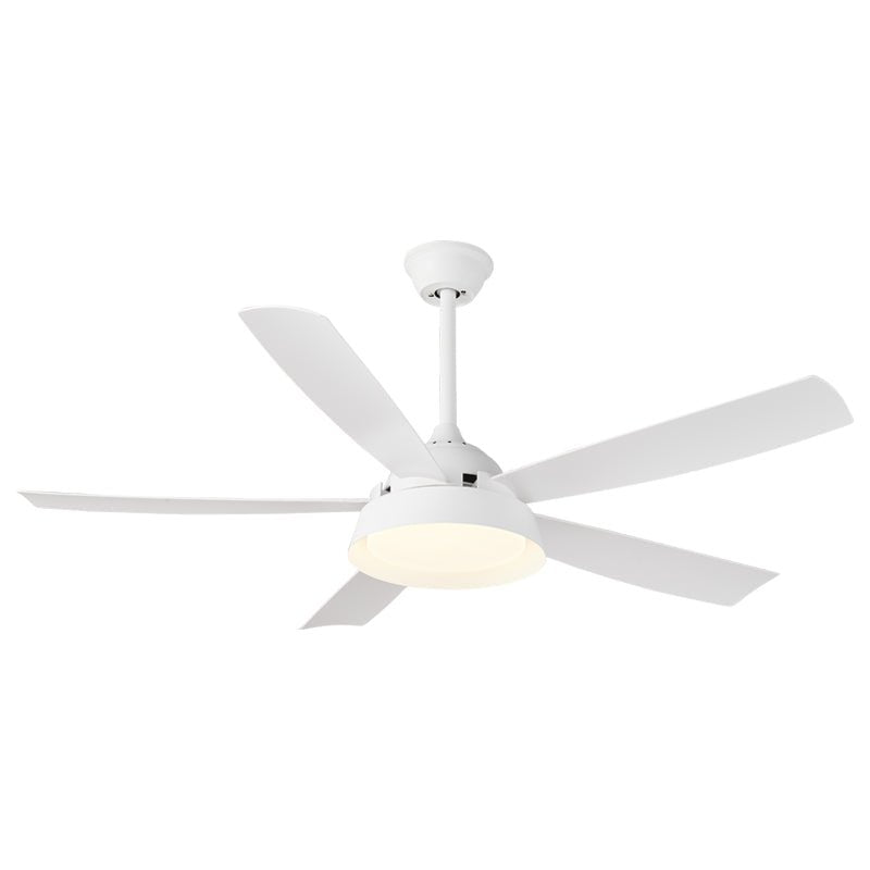 Elysian Ceiling Fan Light