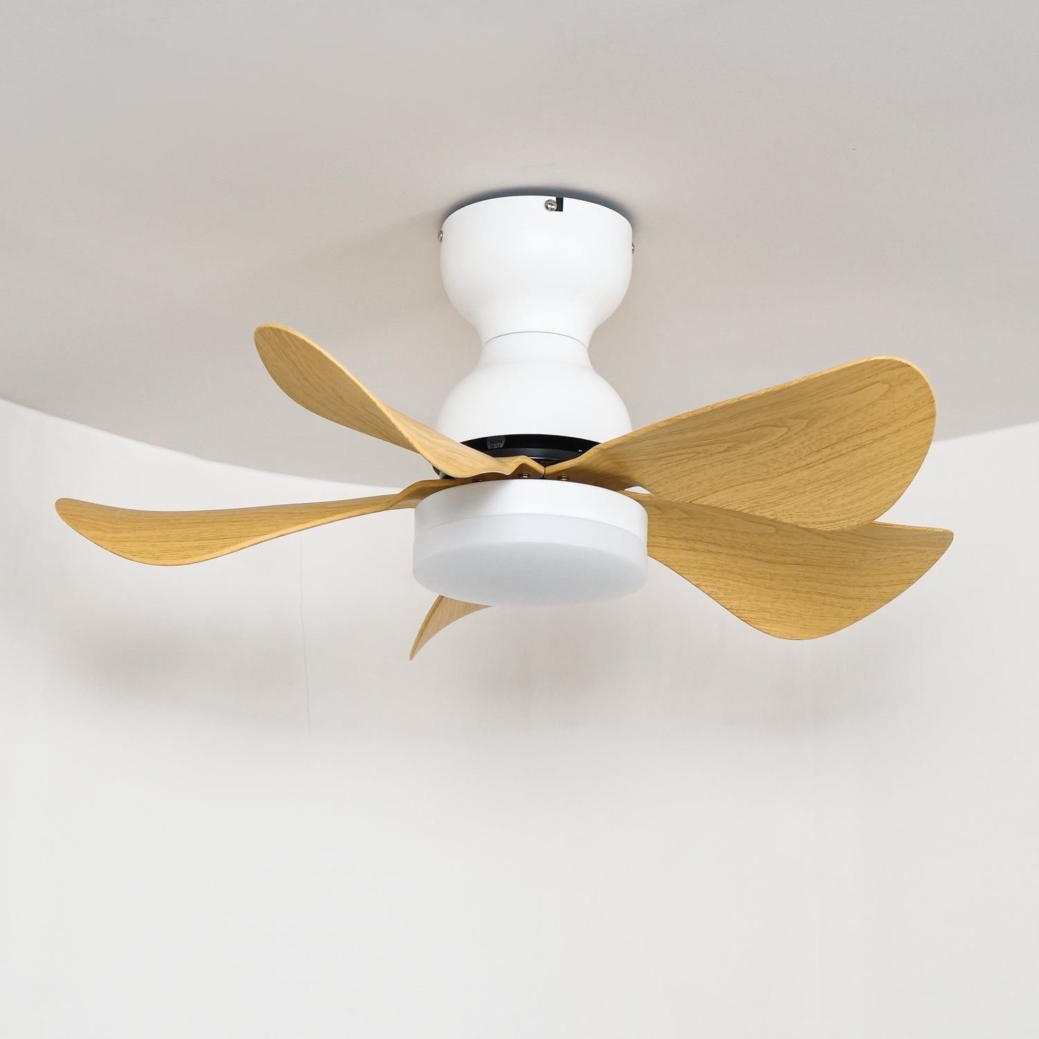 Small Arilia 29 Ceiling Fan Light