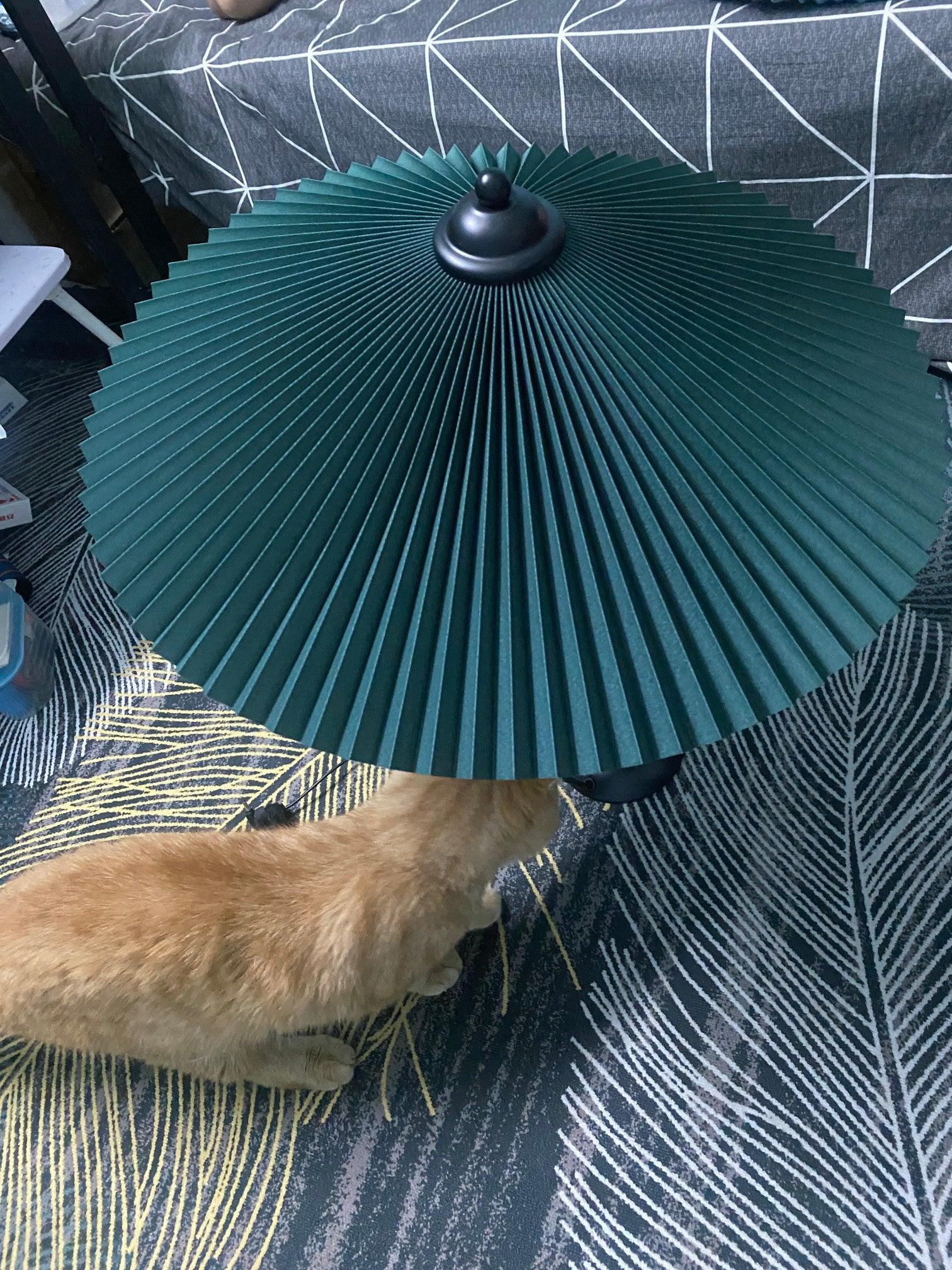 Pleated Hat Table Lamp