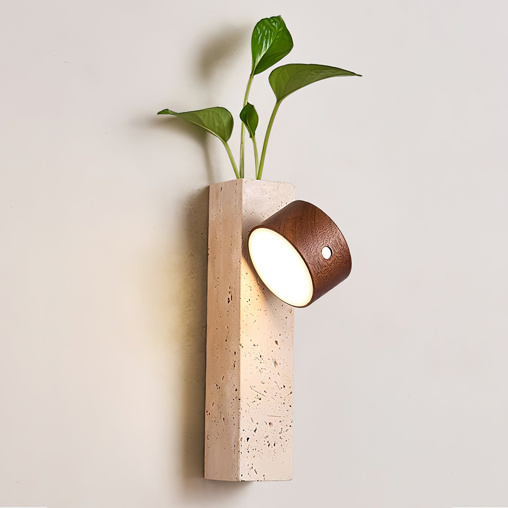 Axis Wood Wall Light