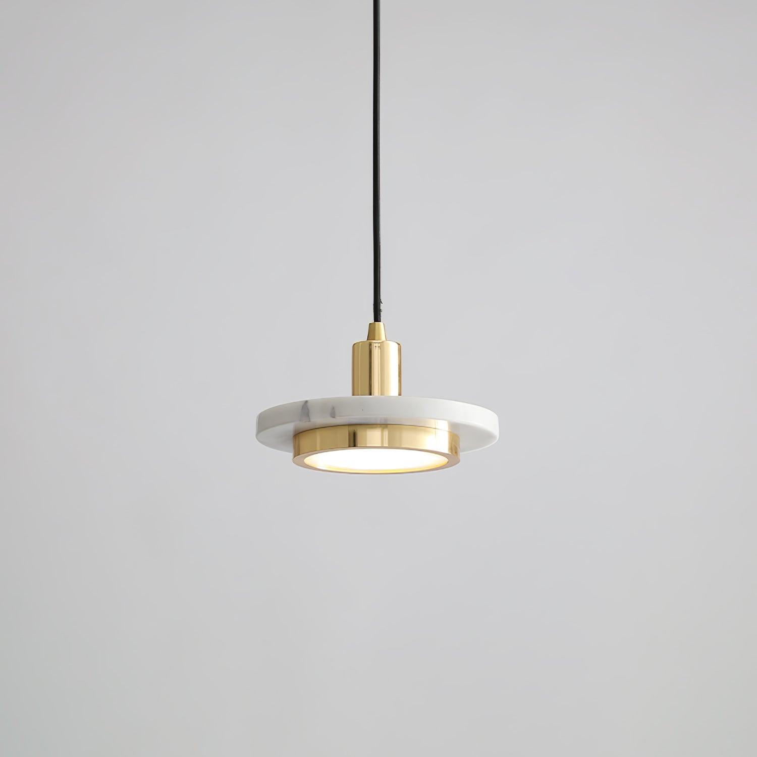 Double Circle Pendant Light