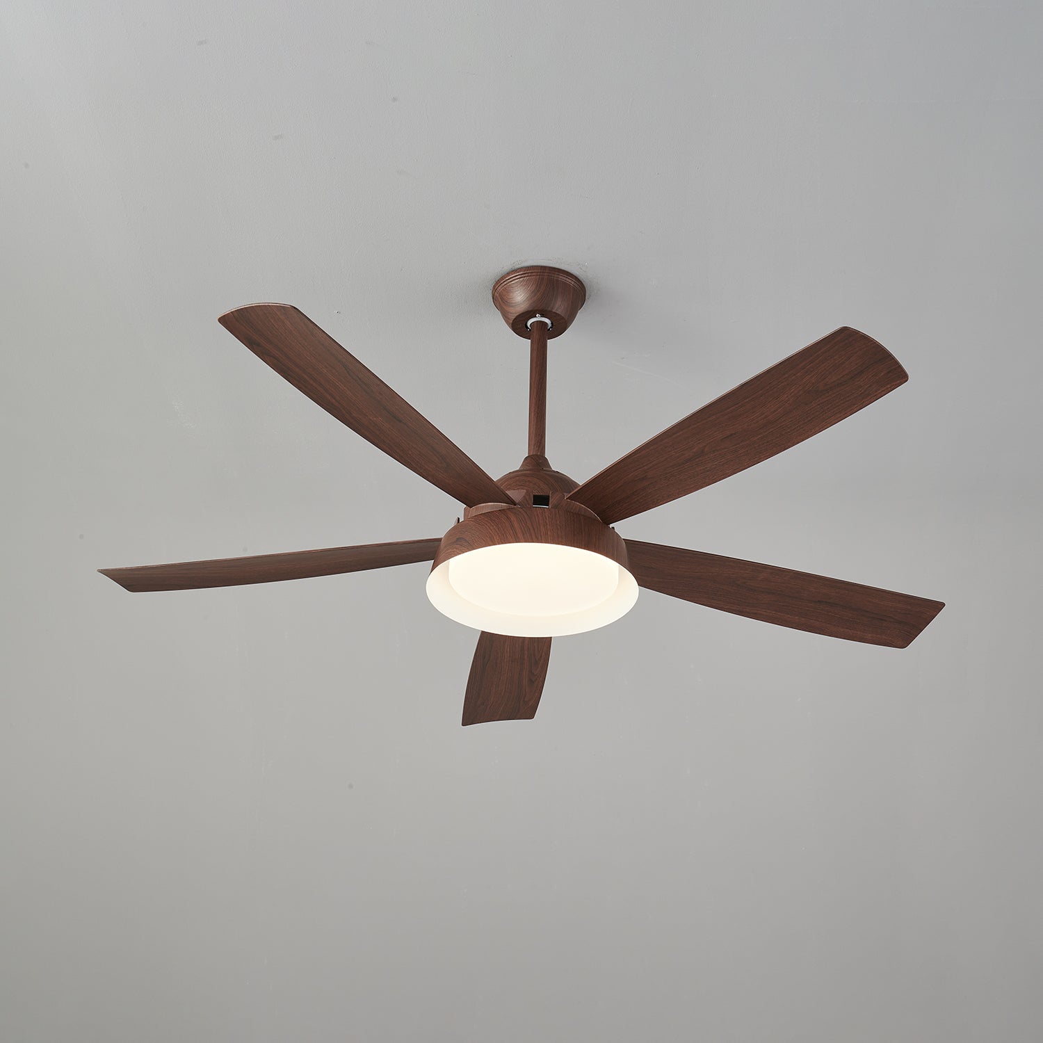 Elysian Ceiling Fan Light