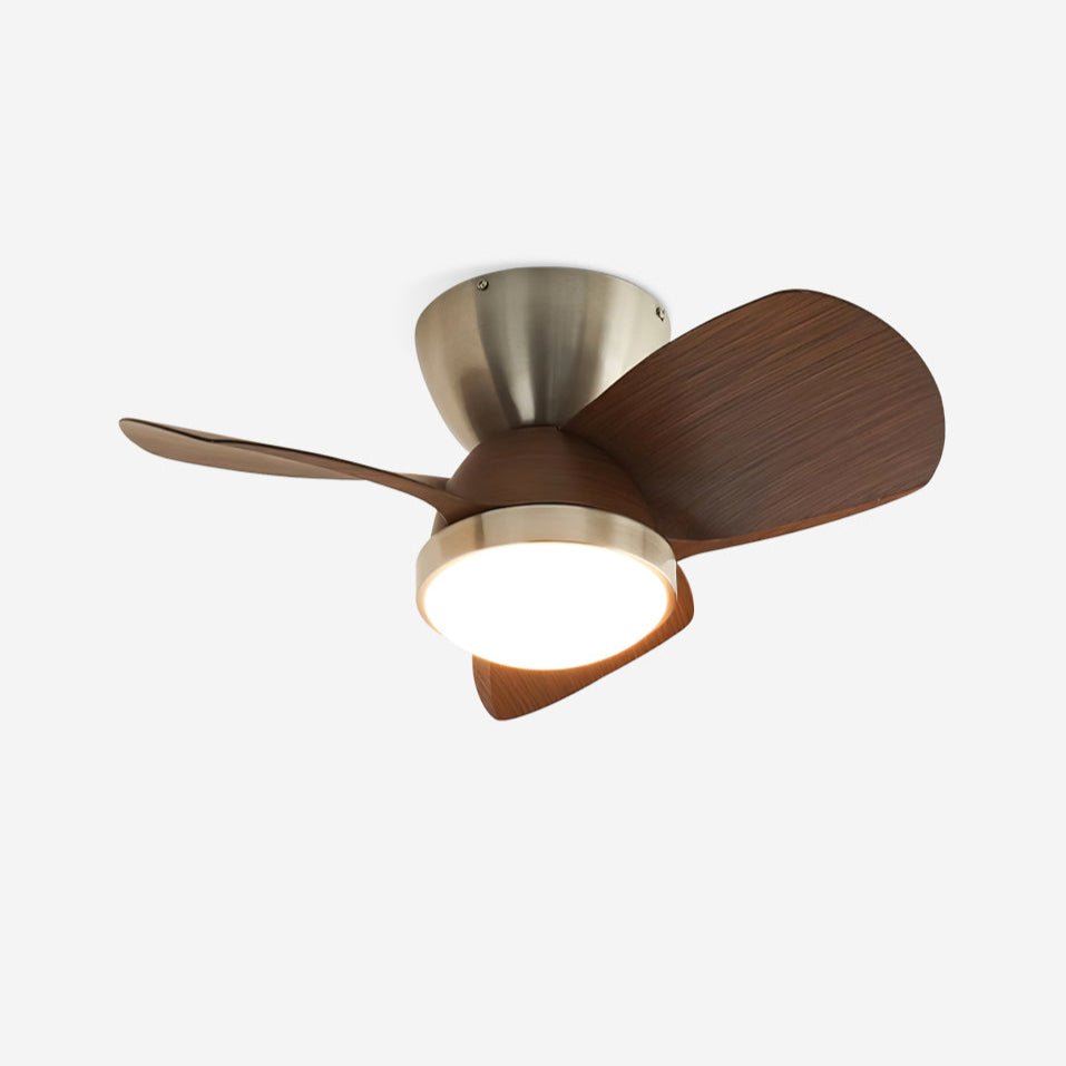 Talaya Ceiling Fan Light