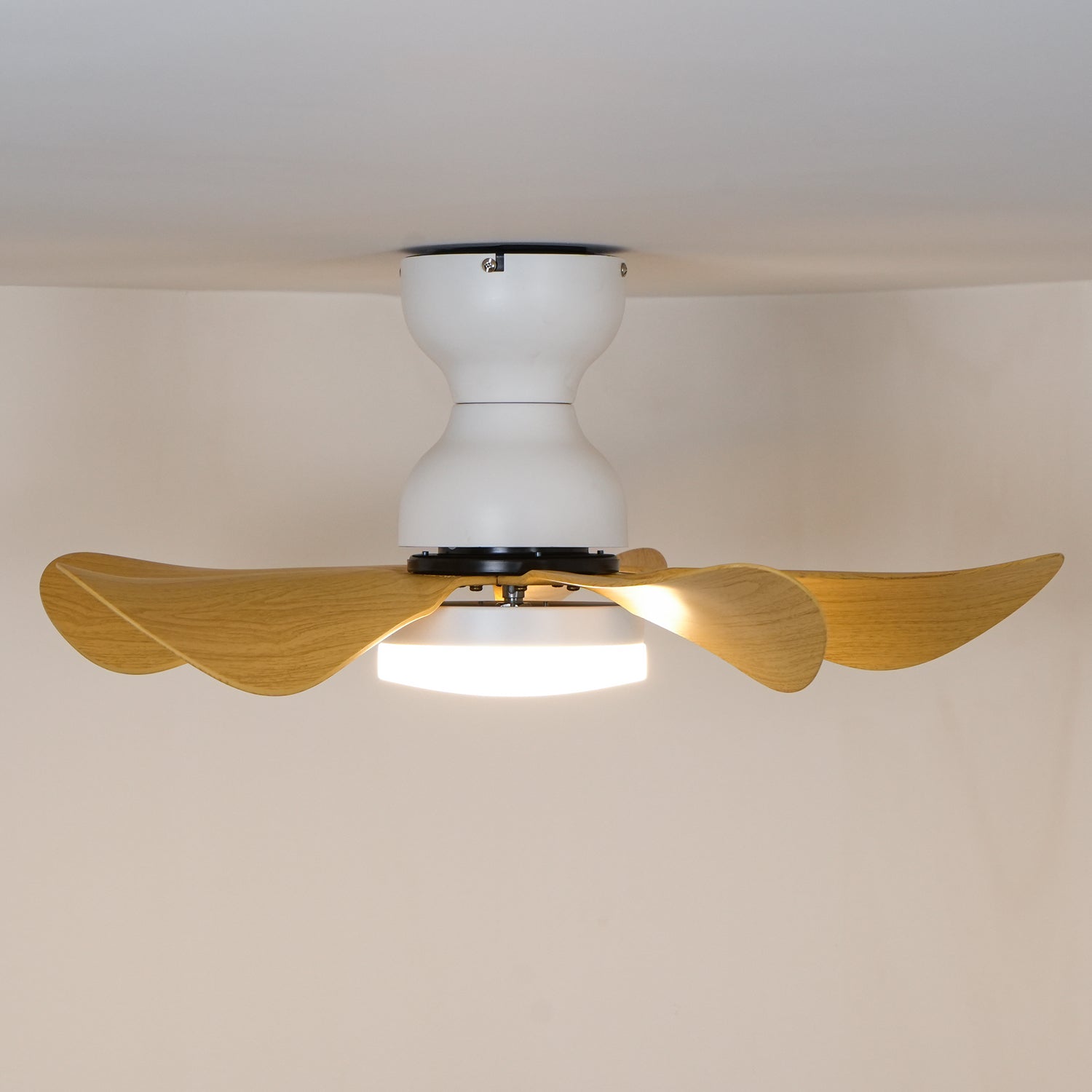 Small Arilia 29 Ceiling Fan Light