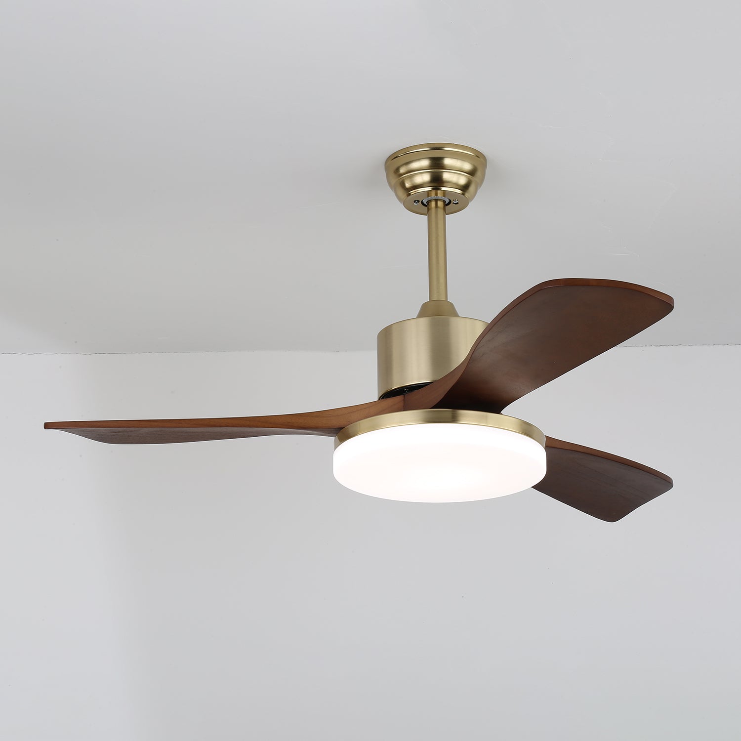 Vega Ceiling Fan Light