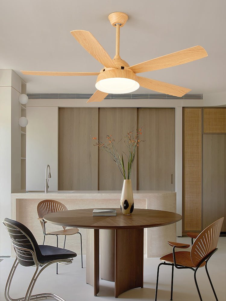 Elysian Ceiling Fan Light