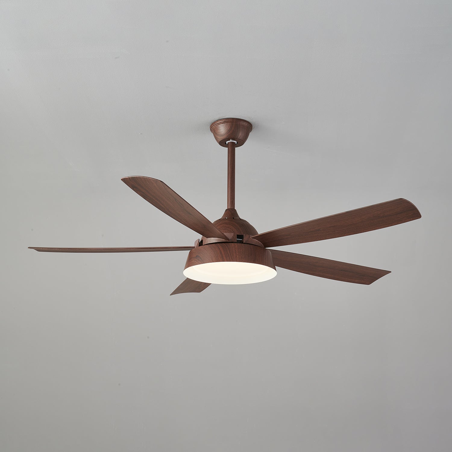 Elysian Ceiling Fan Light