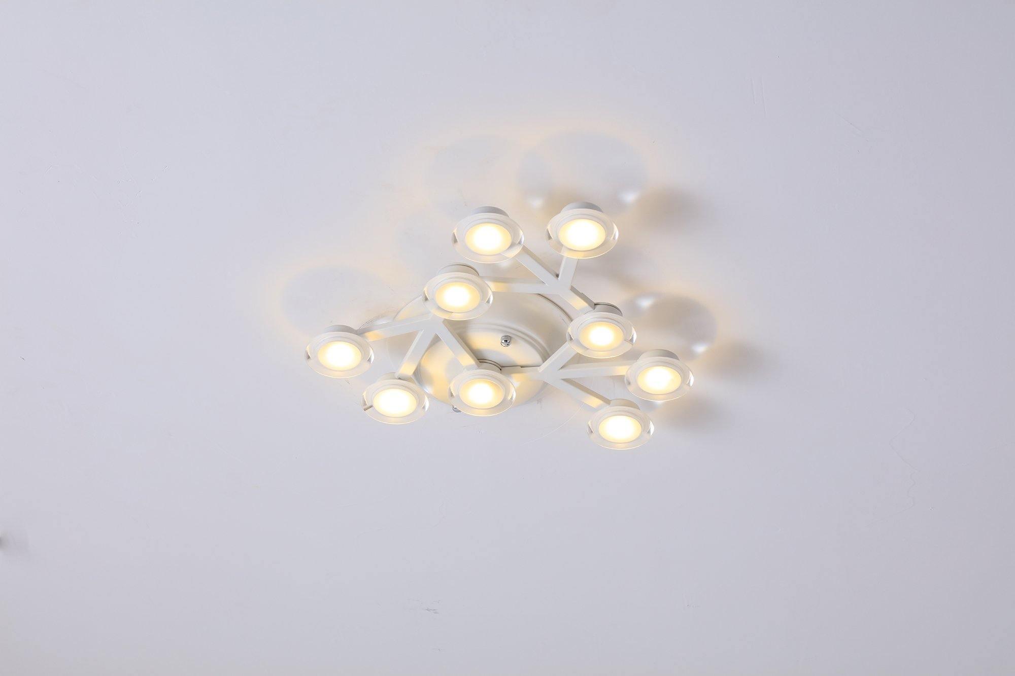 LED Net Ceiling Lamp