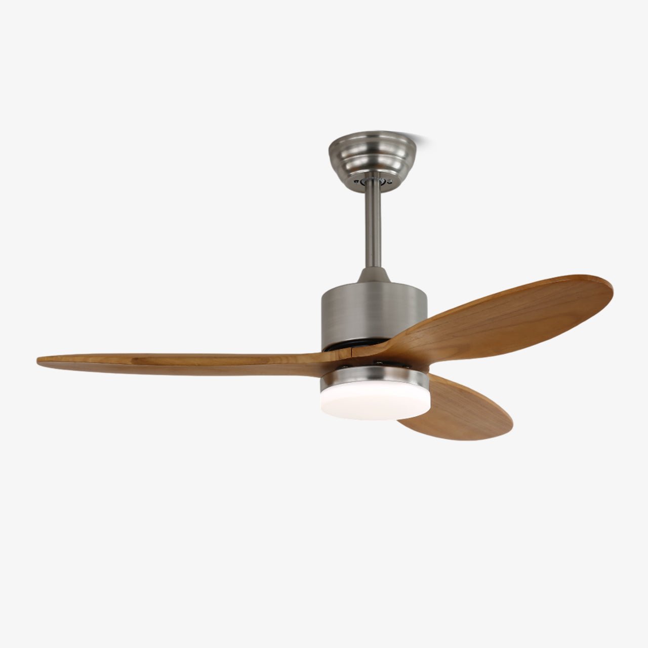 Polaris Ceiling Fan Light