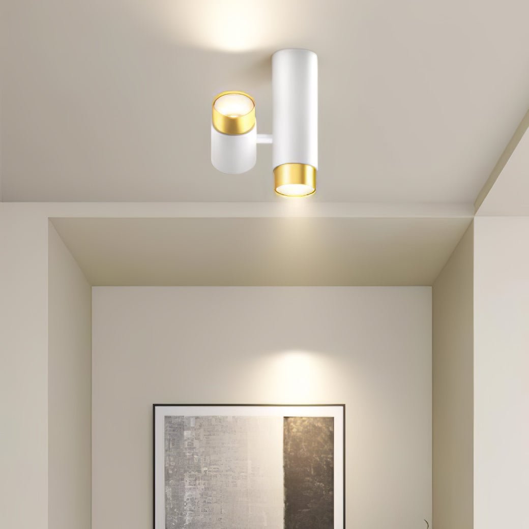 Puma Spotlight Ceiling Light