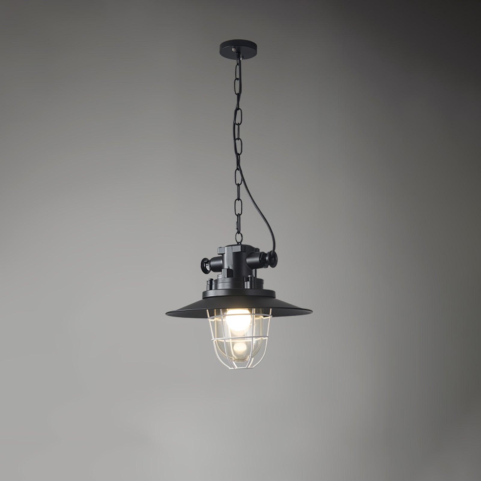 Vintage Industrial Collections Pendant Light