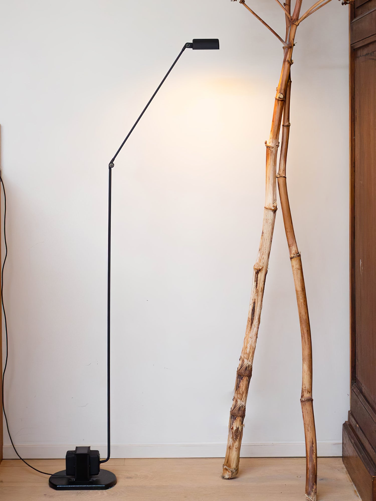 Dynamo Floor Lamp