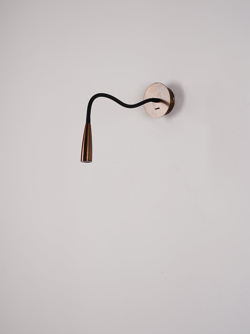 Flexi Hose Wall Light