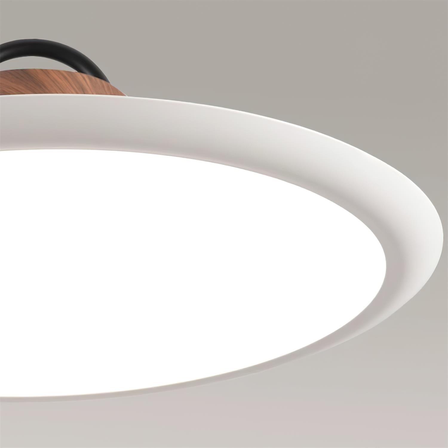 Ruile Pendant Lamp