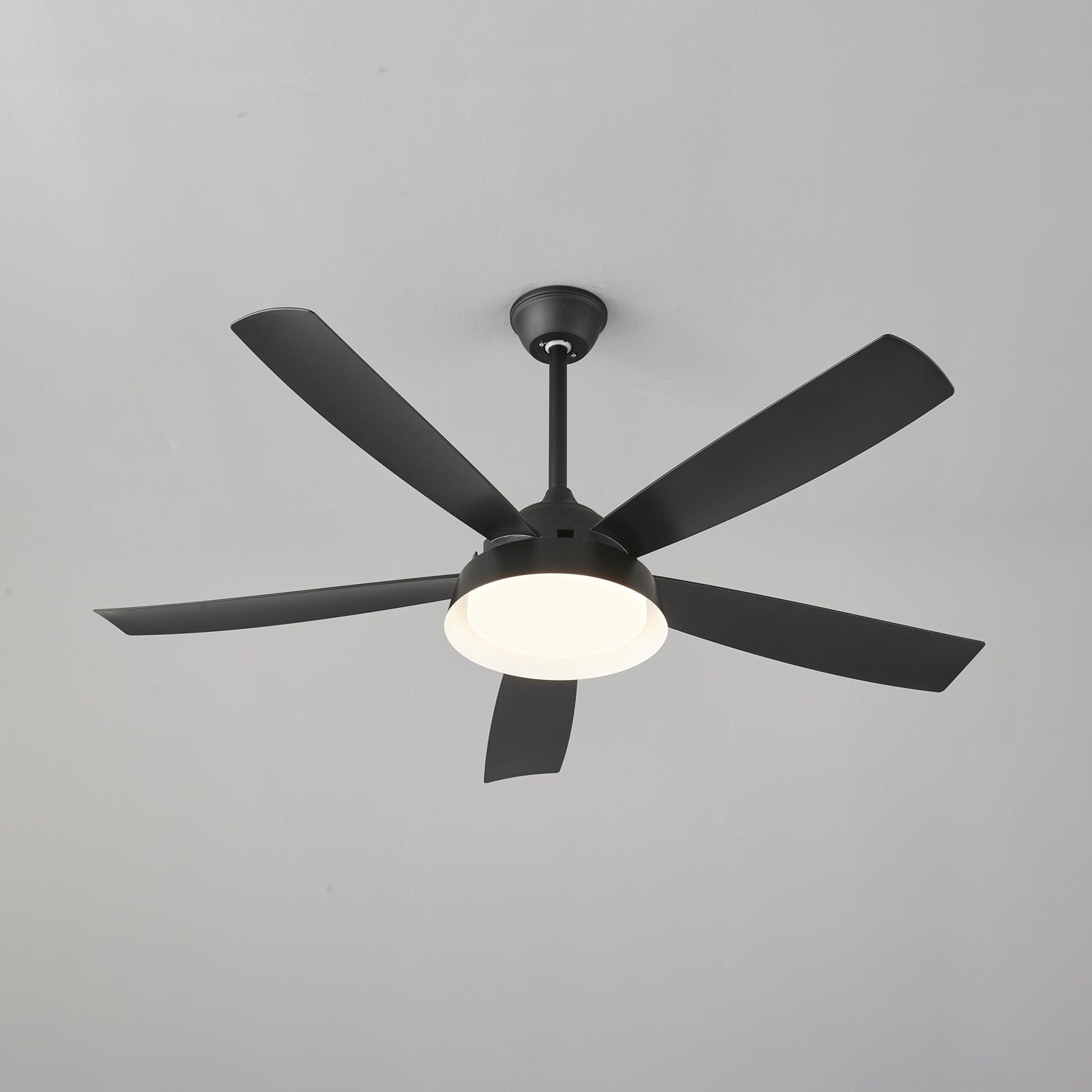 Elysian Ceiling Fan Light