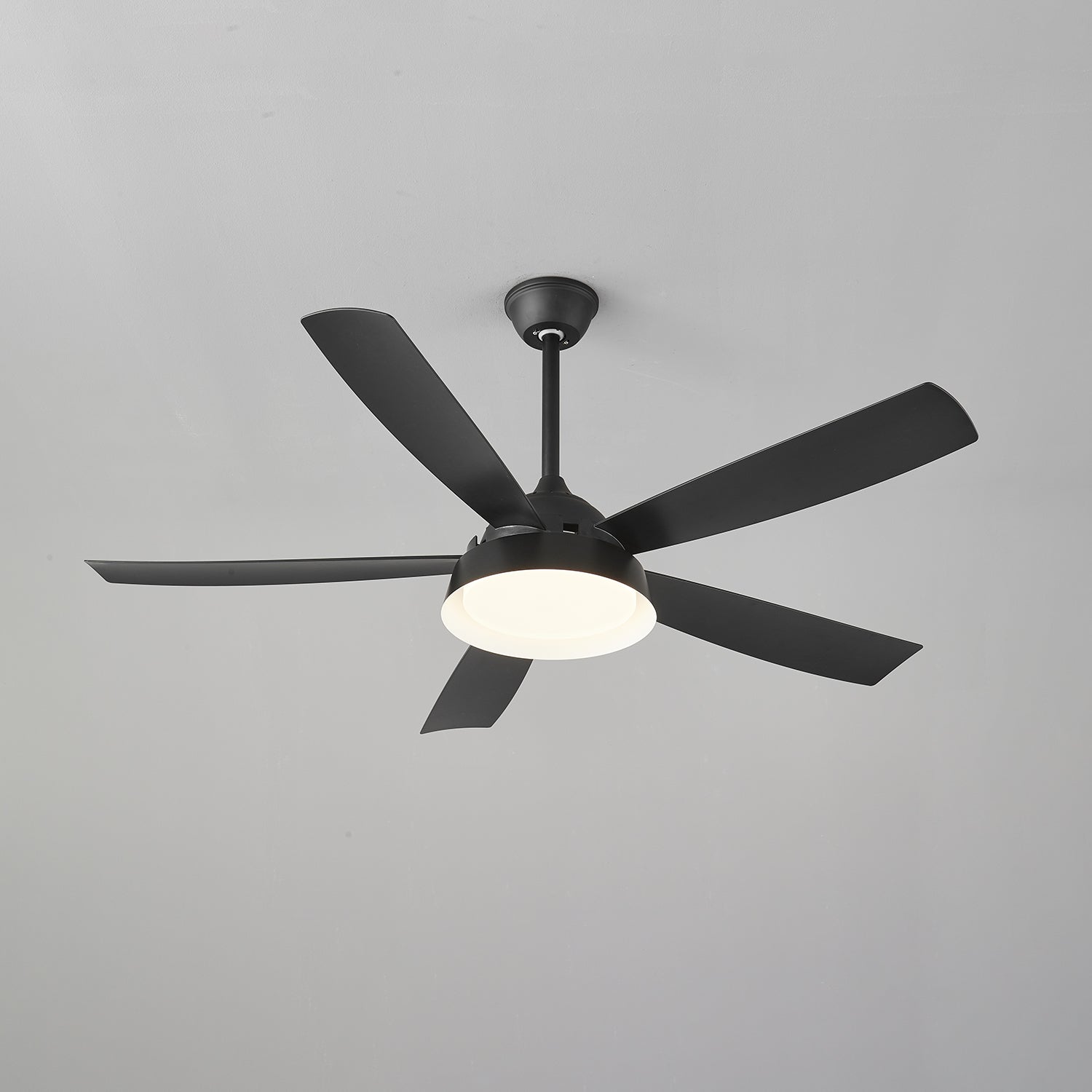 Elysian Ceiling Fan Light