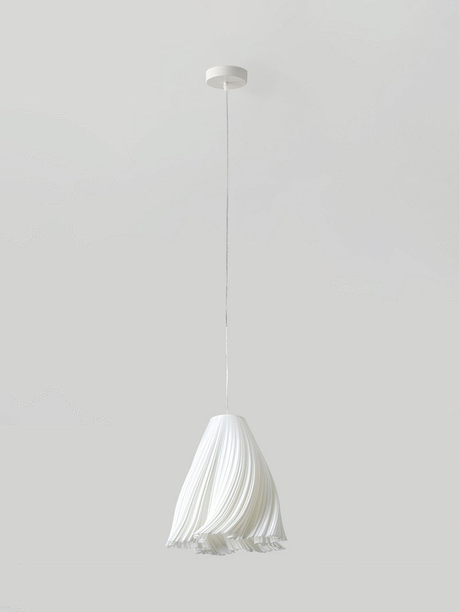 Printing Art Pendant Light