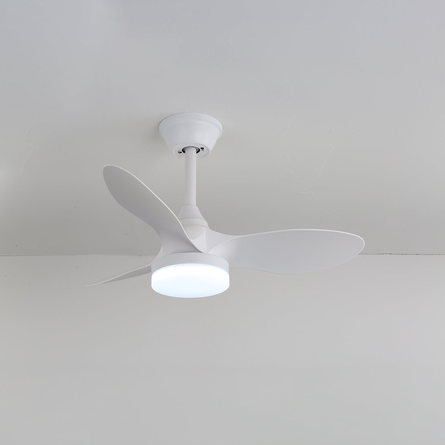 Callum Ceiling Fan Light