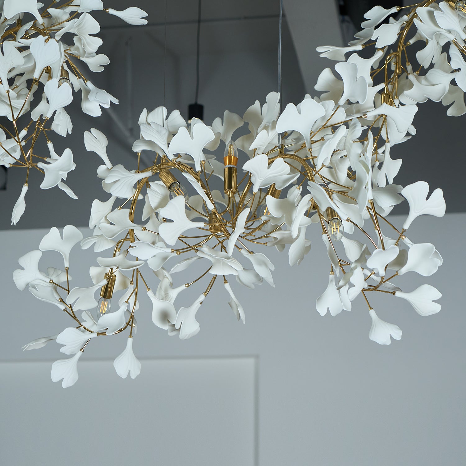 Gingko Chandelier C