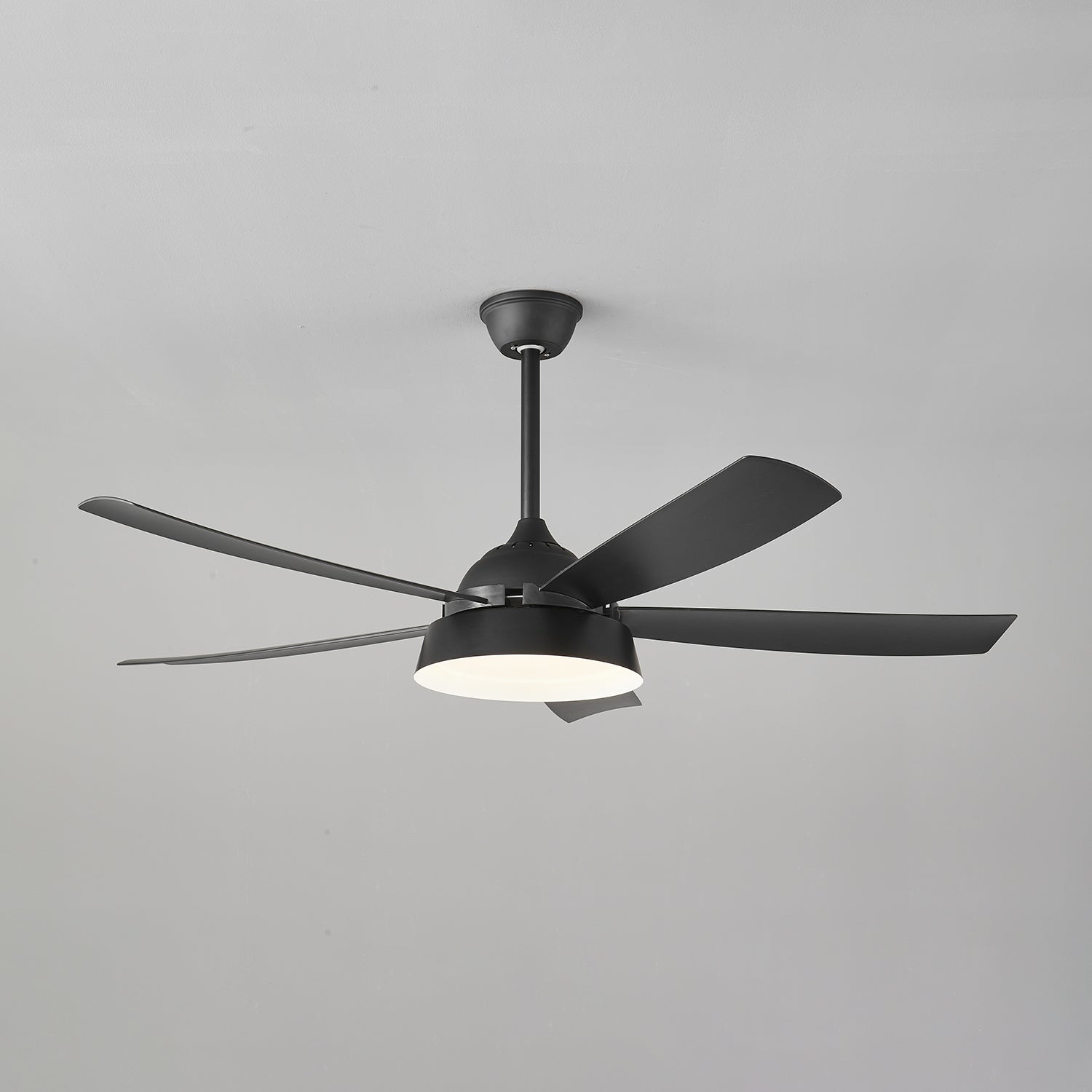 Elysian Ceiling Fan Light