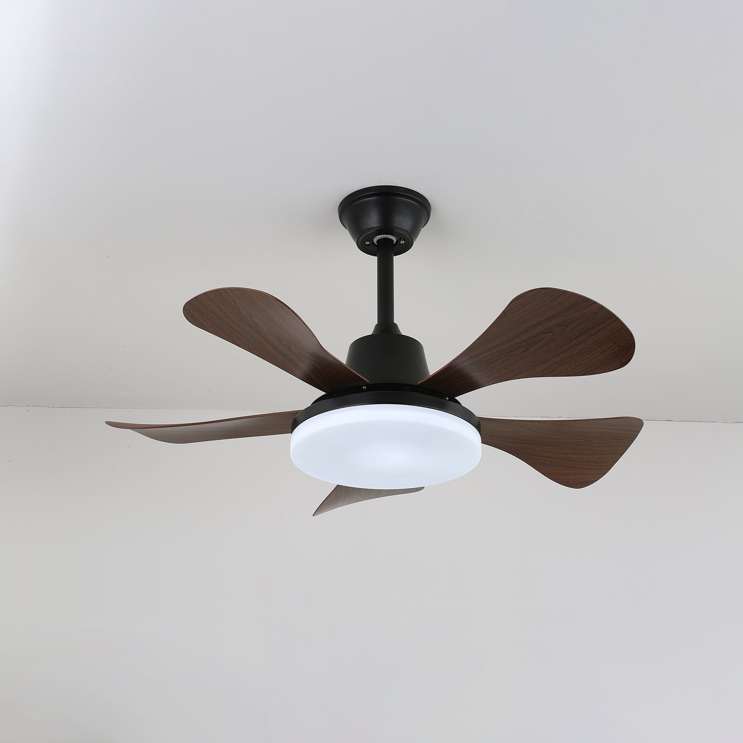 Eliza Ceiling Fan Light