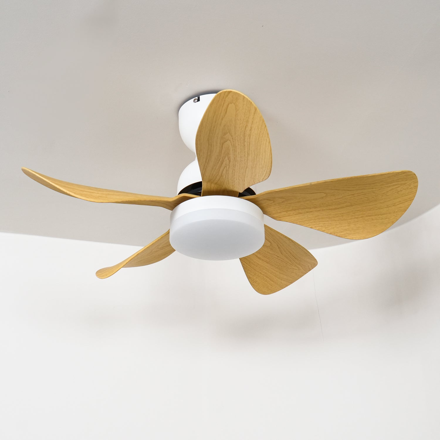 Small Arilia 29 Ceiling Fan Light