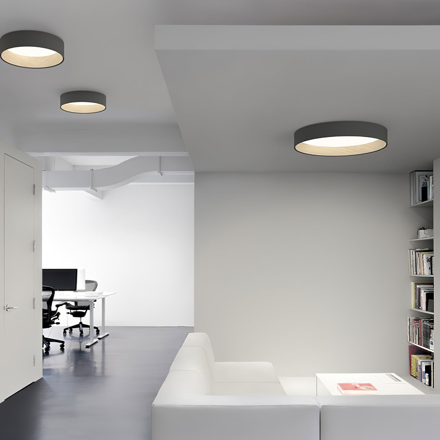 Duo Round Ceiling Lamp