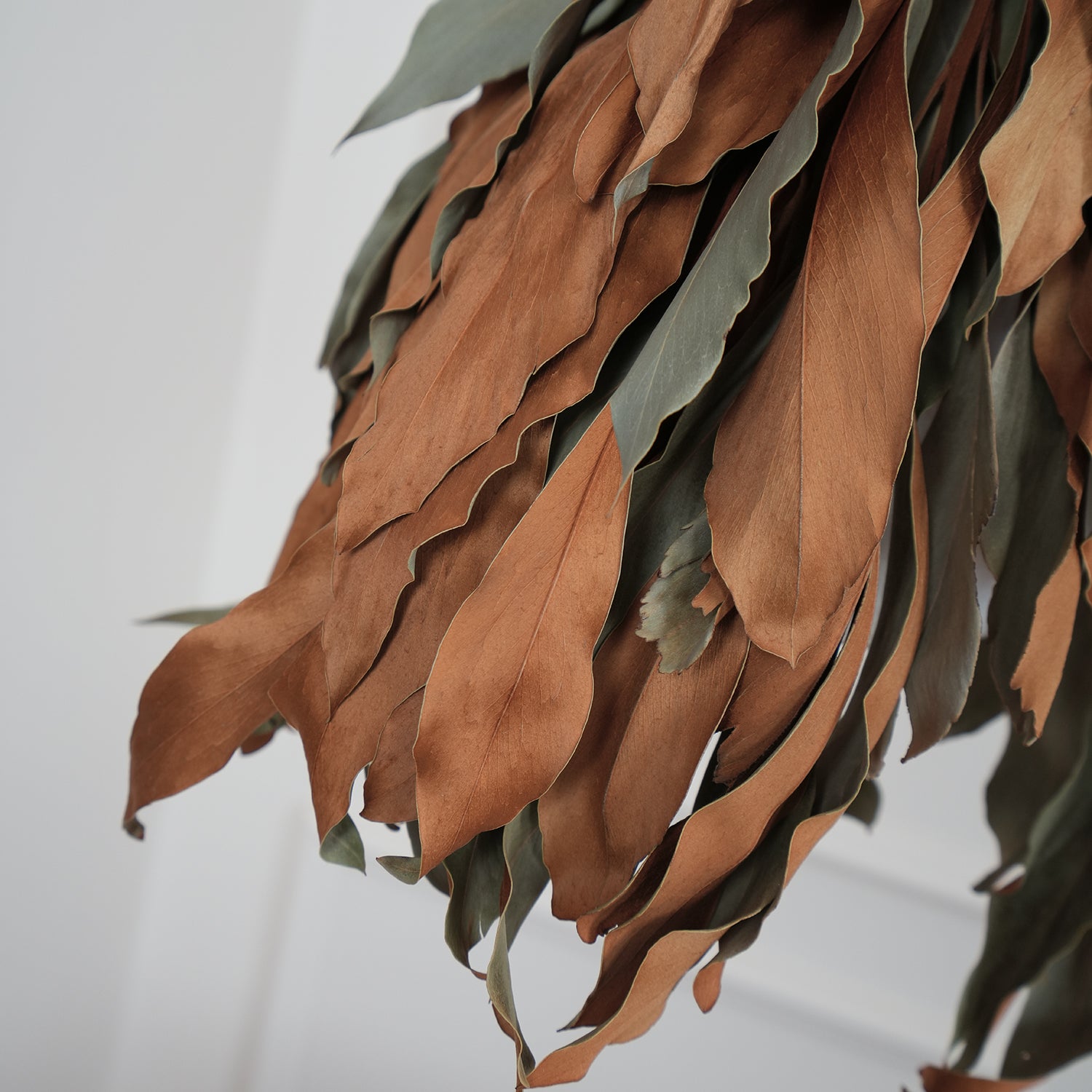 Dried Branch Leaf Pendant Lamp