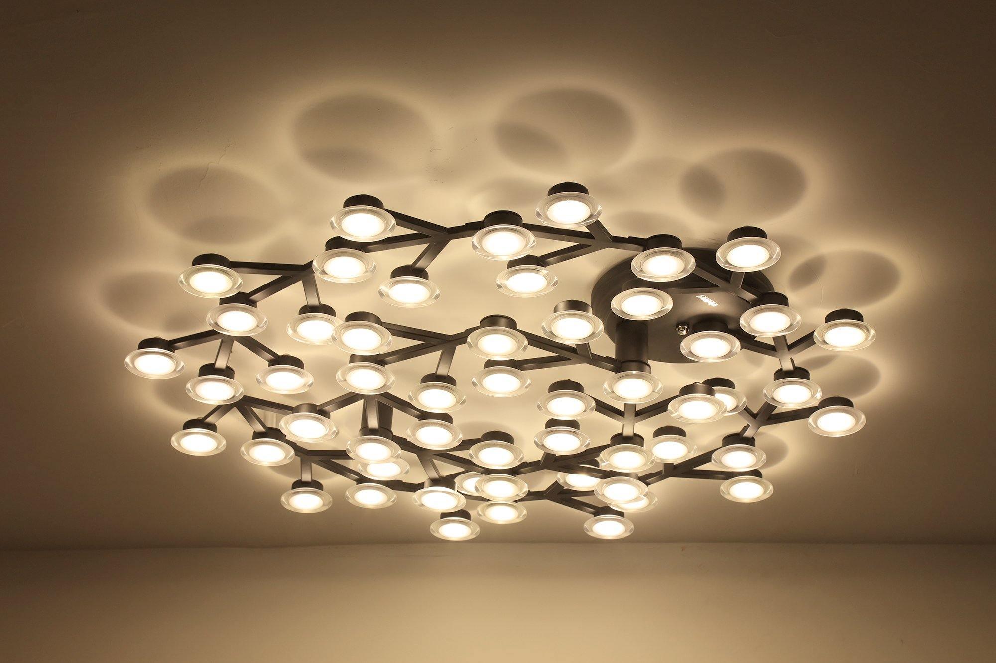 LED Net Ceiling Lamp