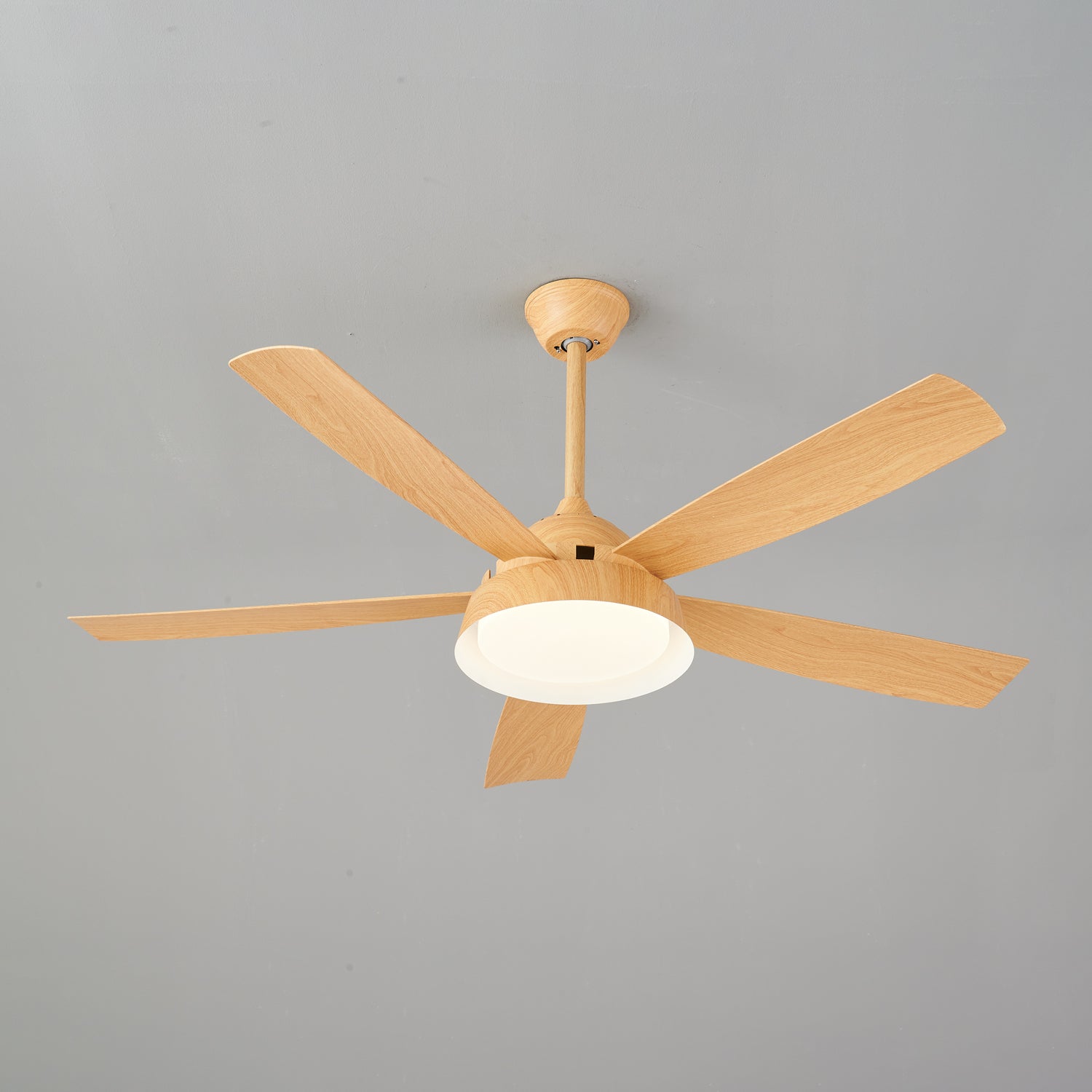 Elysian Ceiling Fan Light