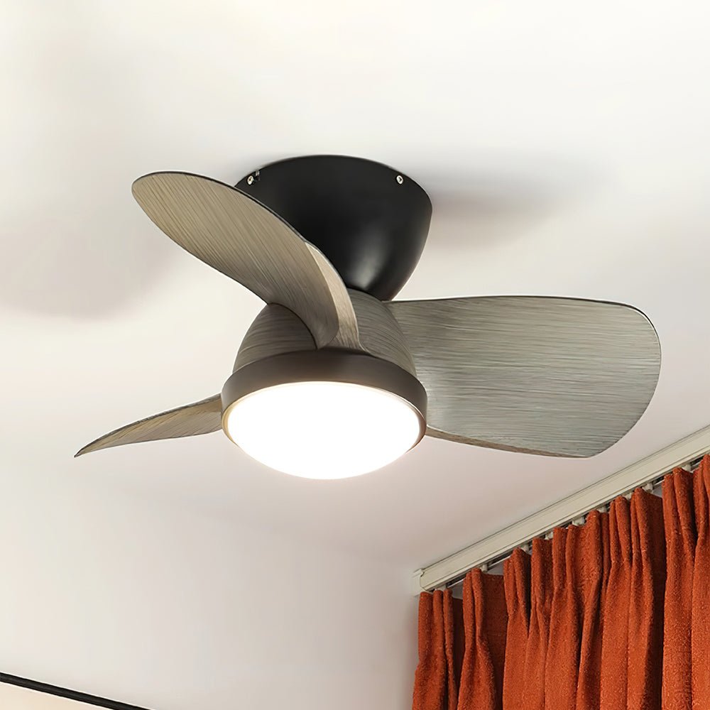 Talaya Ceiling Fan Light