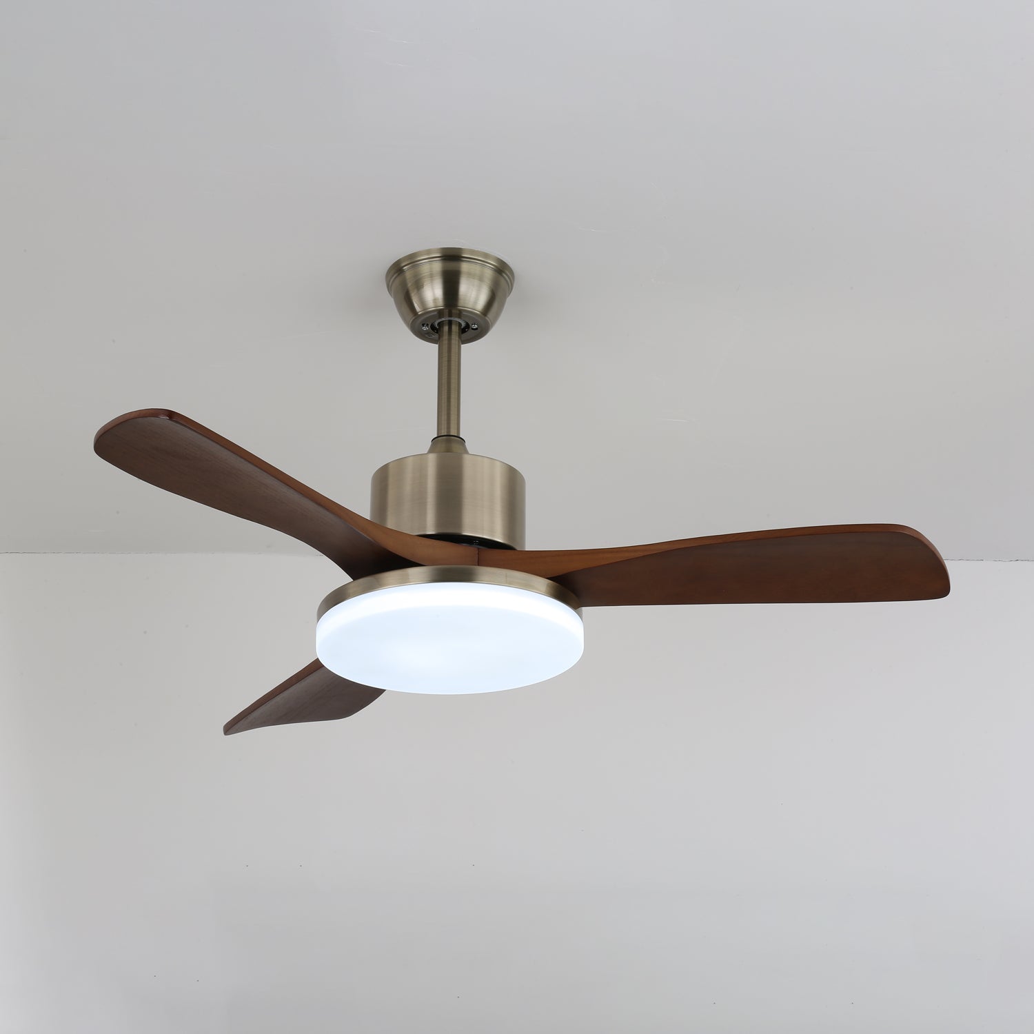 Vega Ceiling Fan Light